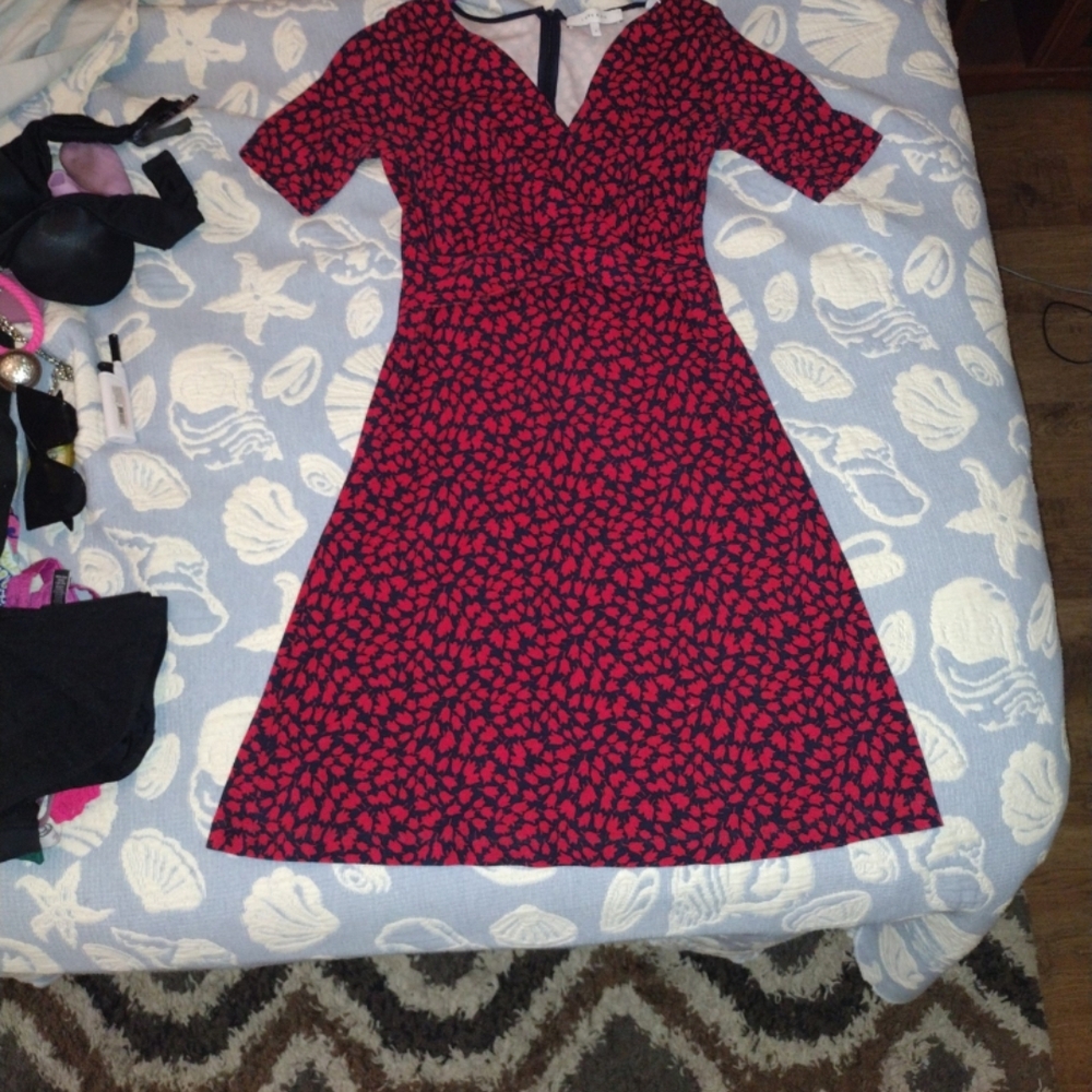 Lark & Ro Red and Black Midi Dress